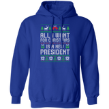 All I Want for Christmas is a New President Pullover Hoodie