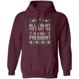 All I Want for Christmas is a New President Pullover Hoodie