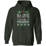 All I Want for Christmas is a New President Pullover Hoodie