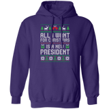 All I Want for Christmas is a New President Pullover Hoodie
