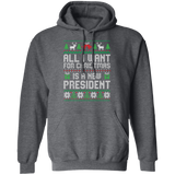All I Want for Christmas is a New President Pullover Hoodie