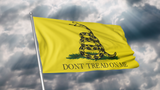 Don't Tread on Me Gadsden Flag