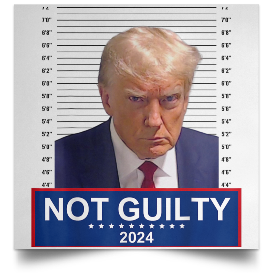 Trump Mugshot Wall Art – Patriot Powered Products