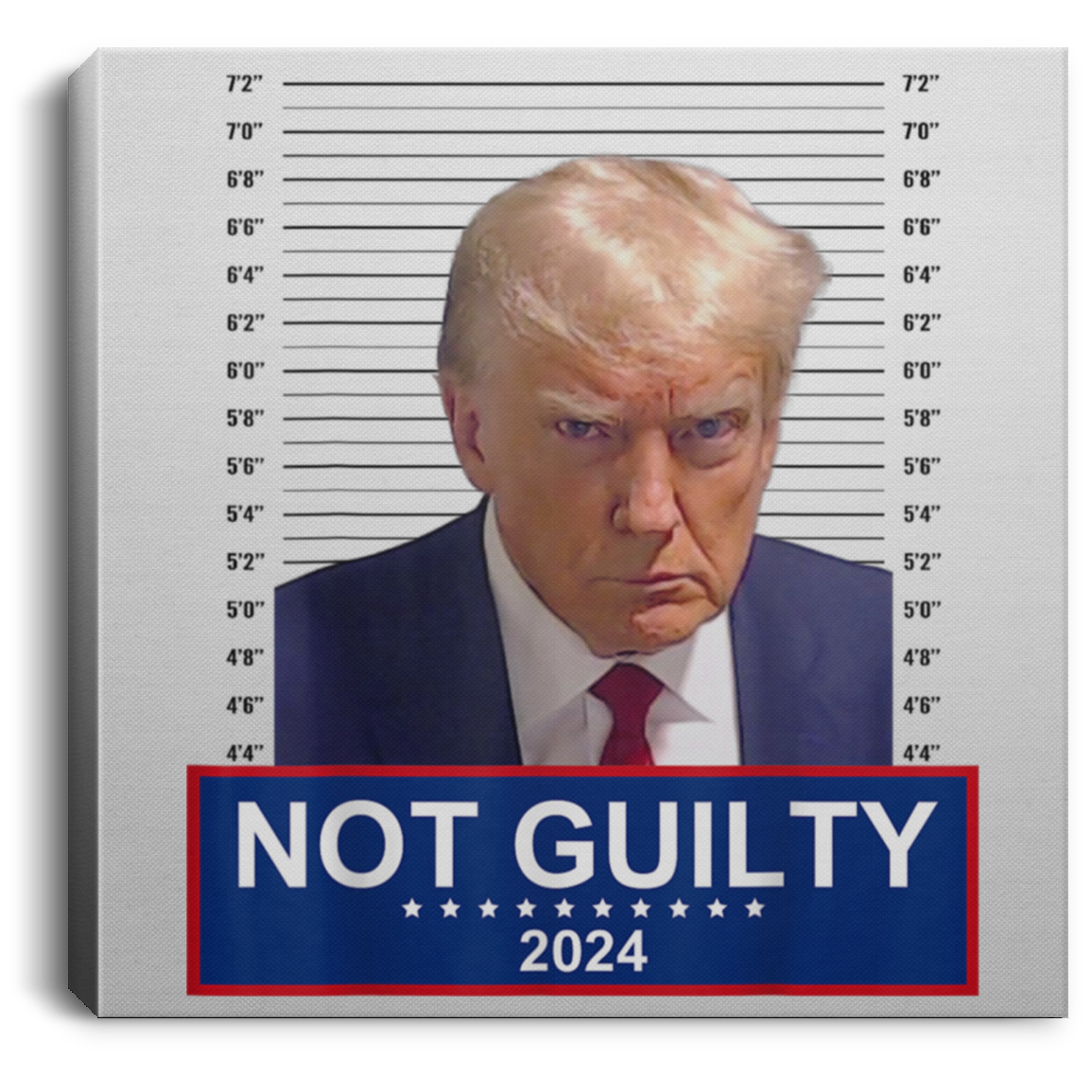 Trump Mugshot Wall Art – Patriot Powered Products