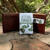 The Foldable Forager
