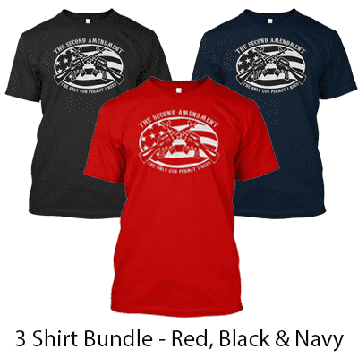 2nd Amendment the Only Permit I Need - Buy 2 Get 1 FREE T-Shirt Bundle