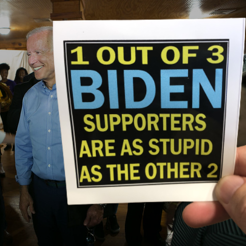 1 in 3 Biden Supporters Bumper Sticker