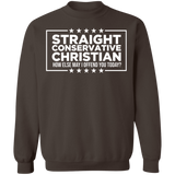 Straight Conservative Christian Crewneck Pullover Sweatshirt