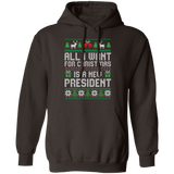 All I Want for Christmas is a New President Pullover Hoodie