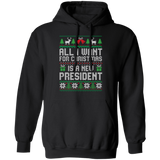 All I Want for Christmas is a New President Pullover Hoodie