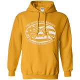 2ND AMENDMENT IS THE ONLY GUN PERMIT I NEED HOODIE