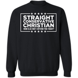 Straight Conservative Christian Crewneck Pullover Sweatshirt