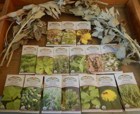 Extra Essentials Medicinals Garden Seed Kit