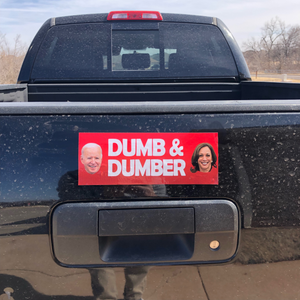 Dumb & Dumber - Joe & Kamala Sticker - Exclusive