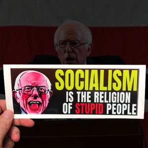 Bernie Sanders Socialism Sticker