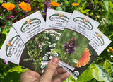 Beginner's Medicinal Garden Seed Kit