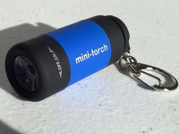 Mini LED Flashlight with Keychain